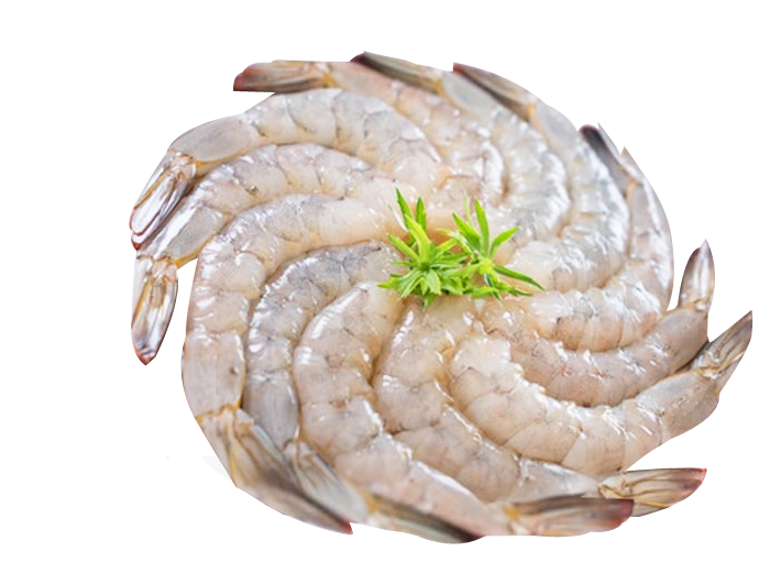 Sudha Sea Foods